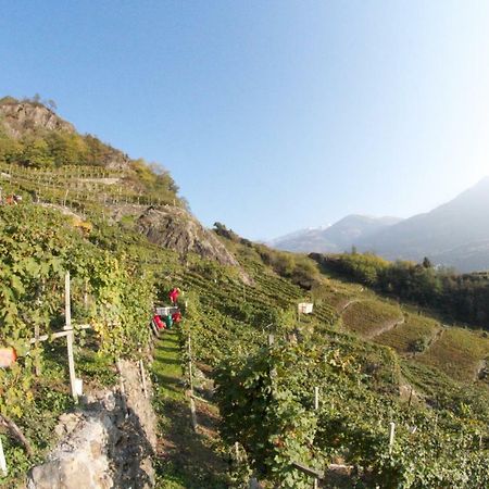 Winebnb Sondrio Dış mekan fotoğraf