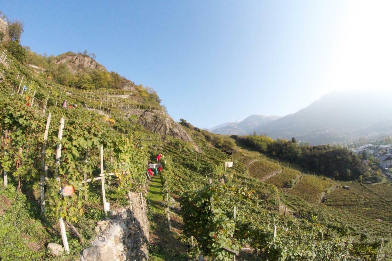 Winebnb Sondrio Dış mekan fotoğraf